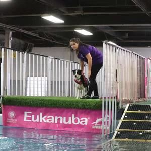 Meet your Posher, Alison